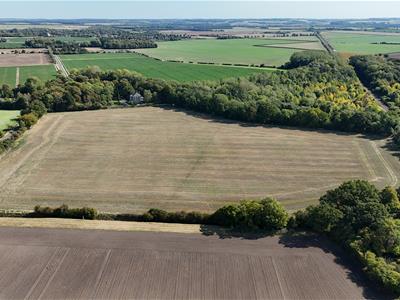 Click to view more details